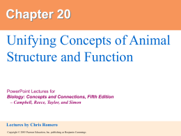 20. Unifying Concepts of Animal Structure and Function