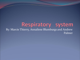 Respitary system - Bingham-5th-2012
