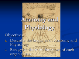 Honors Anatomy and Physiology