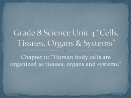 Grade 8 Science Unit 4:“Cells, Tissues, Organs & Systems”