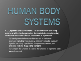Body Systems Unit Review part 2