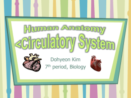 Human Anatomy/Physiology Project