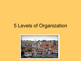 Levels of organization powerpoint
