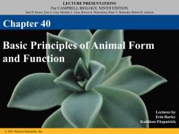 Ch. 40 Animal Form and Function