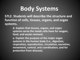 Body Systems Booklet