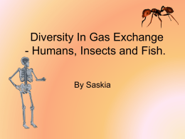 diversity_in_gas_exchange