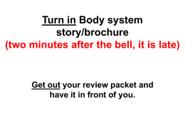 Turn in Body system story/brochure