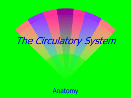 The Circulatory System - Resuscitation Academy