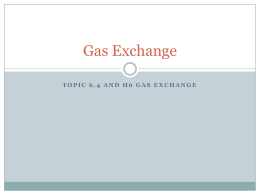 Gas Exchange notes