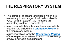 Histology Of Respiratory System