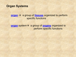 12-Primary systems