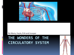 The Wonders Of The Circulatory System - Bingham-5th-2014