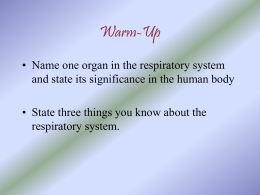 The Respiratory System - Course