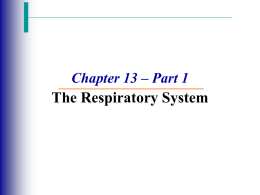 Respiratory Membrane - Mount Carmel Academy