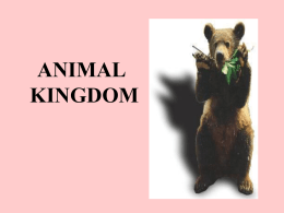 animal kingdom - Biology Junction