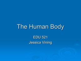 The Human Body - jviningedu521