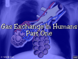 2.Humangasexchange1