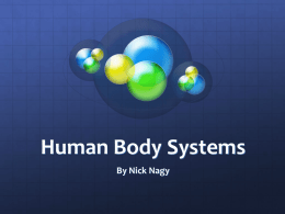 Human Body Systems - local.brookings.k12.sd.us