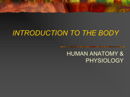 INTRODUCTION TO THE BODY