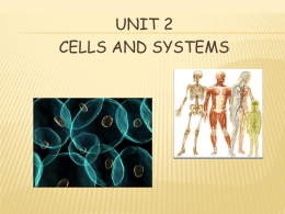 Cells and Systems Notes