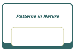 Patterns_In_Nature