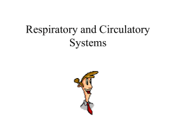 Respiratory and Circulatory Systems