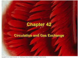 Chapter 42 pulmonary only 2008