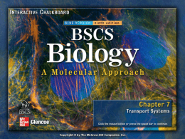 BSCS Chapter 07 - HonorsBiology2015-16