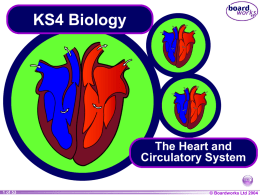 KS4_The_Heart_and_Circulatory_System