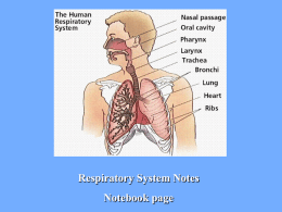 Respiratory_System_Notes