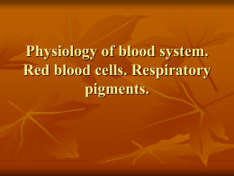 Physiology of blood system. Red blood cells. Respiratory pigments