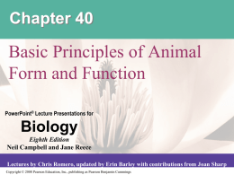 Chapter 40 Lecture Notes