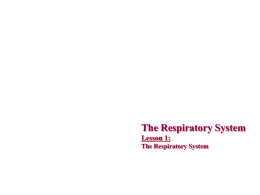Chp_29_lesson_1_The_respiratory_system411