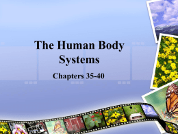 Ch. 35: The Nervous System