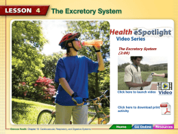 The Excretory System - Sarah E. Goode STEM Academy