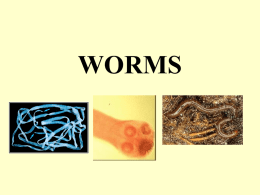 worms - Local.brookings.k12.sd.us