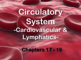 Circulatory System -Cardiovascular & Lymphatics