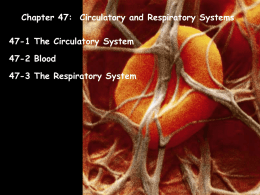 Chapter 47-Circulatory and Respiratory Systems
