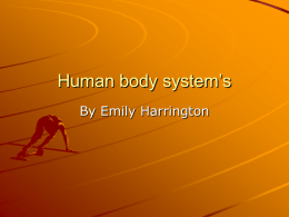 Human body system`s