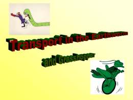 Transport in Earthworm and Grasshopper
