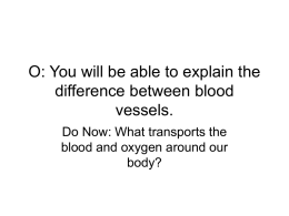 O: You will be able to explain the difference between blood vessels.