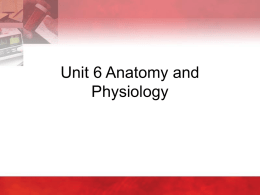 Unit 6 - Anatomy and Physiology