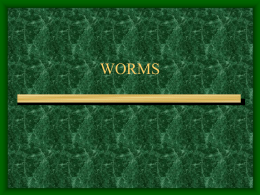 worms - Quia