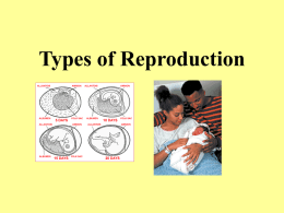 Types of Reproduction - local.brookings.k12.sd.us