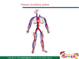 Human circulatory system Heart Lungs Heart Body