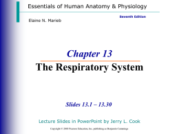 Chp 13 Respiratory PPT