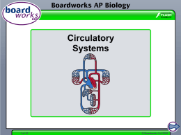 Circulatory Systems - clevengerscience.com