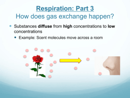 Respiration Part 3 - Diffusion of gases
