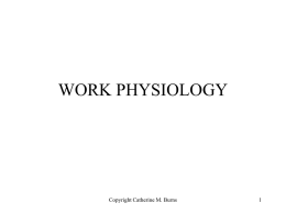 WORK PHYSIOLOGY