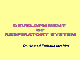 01-Development of respiratory system
